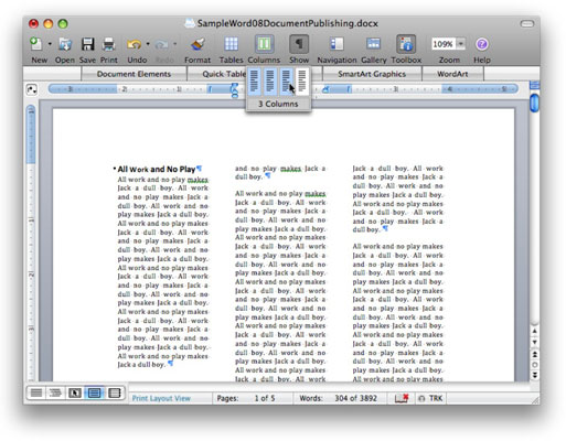 can you make a mirror image in word 2008 for mac